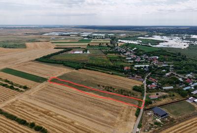Teren Budeni - Delta Comana - Giurgiu - 7