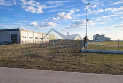 Teren Construcții intravilan de 5633 mp, în Păulești - 5