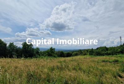 Teren Baia Sprie: 5143 mp, Parcelabil, Comision 0! - 7