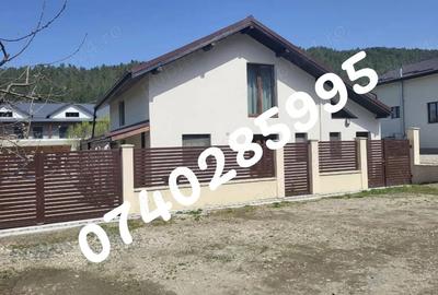 Casă cu 7 camere în Făget - 20