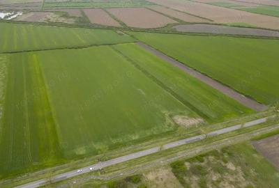 Teren extravilan de 22500mp Zona Ineu - 7