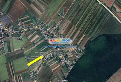 Teren de 4500 mp, în Uliești - 2