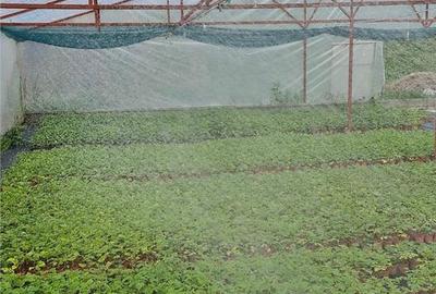 Spațiu comercial, de 1,300 mp, în Șintereag - 12