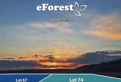 Teren premium, intre doua paduri, acces asfaltat din DN1A, vizitati eForest! - 7