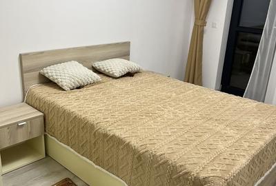 APartament 2 camere de inchiriat Hills Pallady Titan - 11