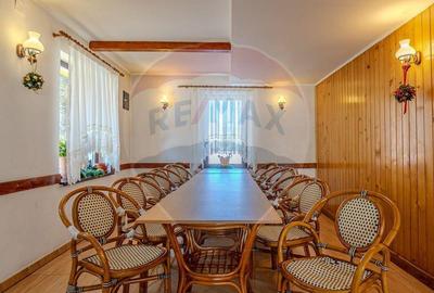 VILA SCANDINAVIA / Pensiune / Moieciu de Sus - 3