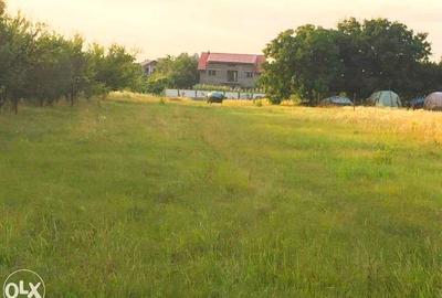 Teren intravilan de vanzare Ciofliceni | Ghermanesti | Snagov - 7