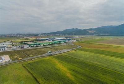 In apropierea aeroportului, 50.000 mp extravilan, Ghimbav, Brasov - 3