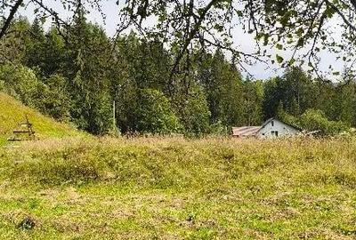 Teren de 4080 mp, în Valea Doftanei - 2