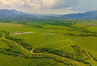 Teren 10,800mp Rasnov / Drumul DN73 - 9