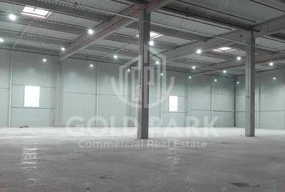 Spațiu comercial, de 10,000 mp, în Florești