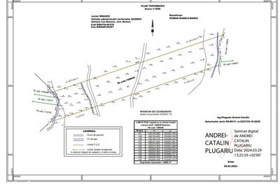 Teren de 10000 mp, în Central - 5
