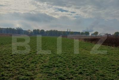 Teren extravilan, 3800 mp, Turda - 1