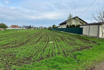 TEREN INTRAVILAN STREJNICU - 4