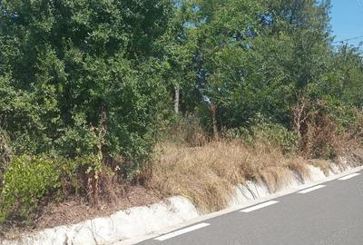 Casă cu 2 camere în Răsmirești - 5