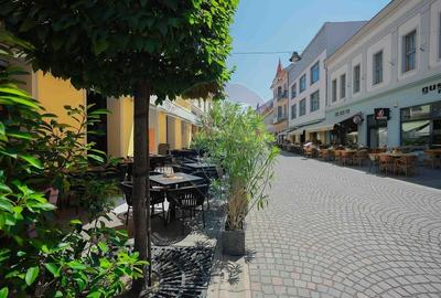De vanzare -- Spatiu comercial parter 409 mp, Vasile Alecsandri - 33