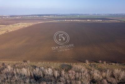 Oportunitate de investitie, teren intravilan in Tamasi-Corbeanca, 22 Euro/mp - 7