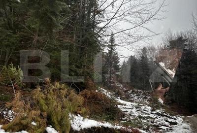 Teren unic, exclusivist  4000 mp, in inima muntilor, Sinaia - 9