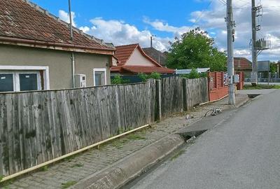 Casă cu Teren 2580 Mp în Teiu - 4