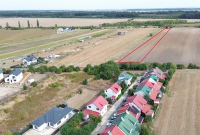 Teren intravilan 1ha Darza ideal pentru case, hala, ferma - 1
