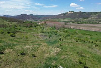 Teren de 659000 mp, în Copșa Mică - 2