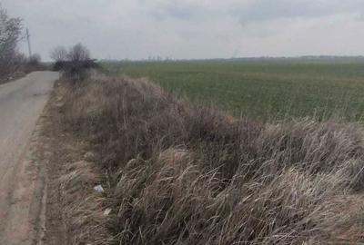 Spațiu comercial, în Albota - 5