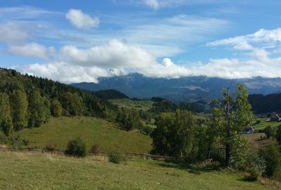 Teren agricol extravilan de 17537 mp, în Fundata