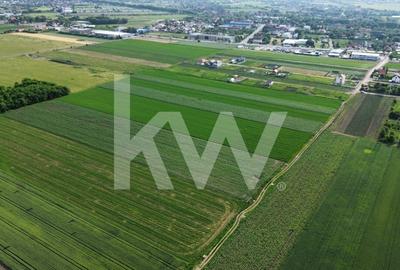 Teren intravilan 34.640 mp Stupini, str. Baciului-Luncii - 8