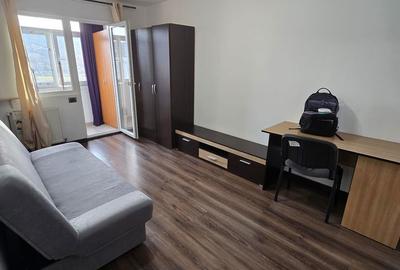 Garsonieră decomandată în Alexandru cel Bun - 5
