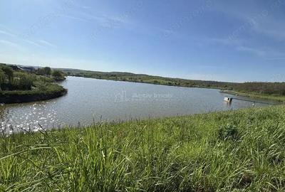 Casa pe malul lacului Paleu teren 510 mp - priveliste deosebita - 5