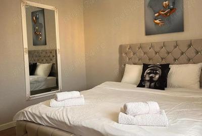 Apartament cu 2 camere de inchiriat in Curtea de Arge?. - 9