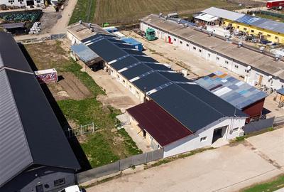 Spațiu industrial, de 800 mp, în Hălchiu - 2