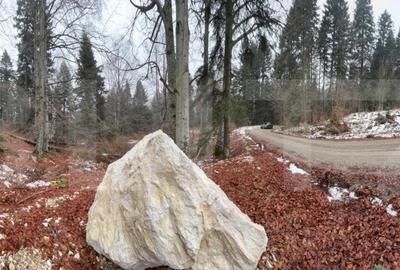 Teren unic, exclusivist  4000 mp, in inima muntilor, Sinaia