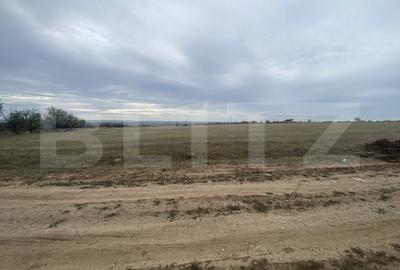 Teren Construcții intravilan de 15000 mp, în Est - 2