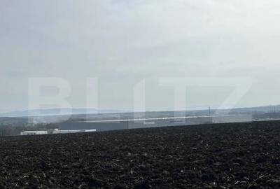 Teren în Sântuhalm - 5