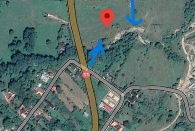 Spațiu comercial, în Hârja - 8