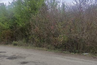 Teren intravilan pe str. Nicolae Corches, Becas, Cluj-Napoca - 2