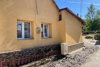 Casă cu 2 camere cu Teren 135 Mp în Mehadia - 3