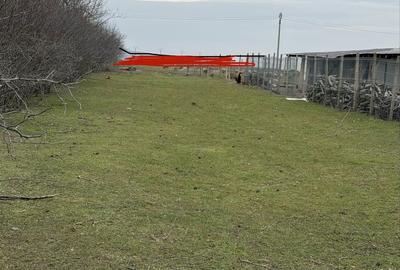 Casă cu 4 camere în Fântânele - 3