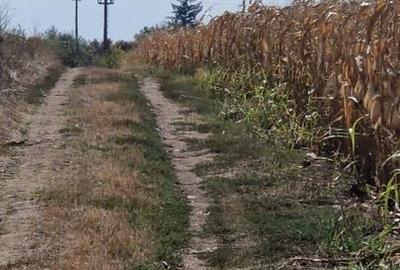 Oportunitate Investitie! Teren de 12.200 mp soseaua Bucuresti-Ploiesti Oportunitate Investitie! Teren de 12.200 mp soseaua Bucuresti-Ploiesti - 3