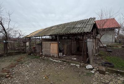 Casă cu 2 camere în Jebel - 4