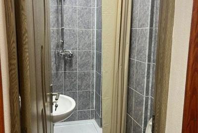 Spațiu comercial, de 68 mp, în Paltin - 1