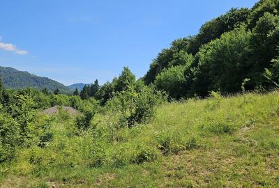 Teren de 3533 mp, în Exterior Vest - 6