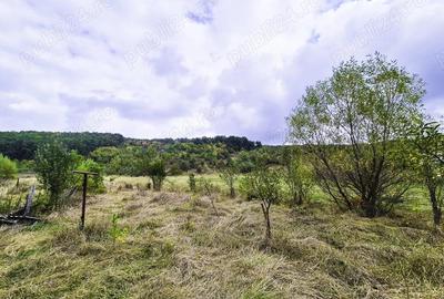 Teren 1,4 hectare Draganu Arges - 5