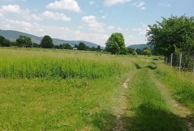 Teren de 1200 mp, în Vad - 7