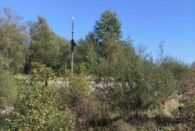 Teren de 7178 mp, în Frătăuții Vechi - 6