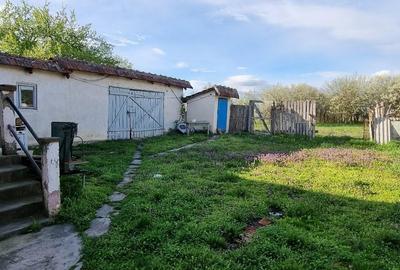 Casa cu teren 14,40 ari in Corod-Culciu jud Satu Mare - 8