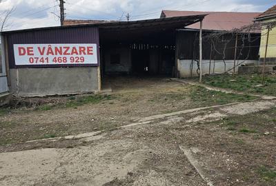 Casă cu 3 camere în Pogăceaua - 9