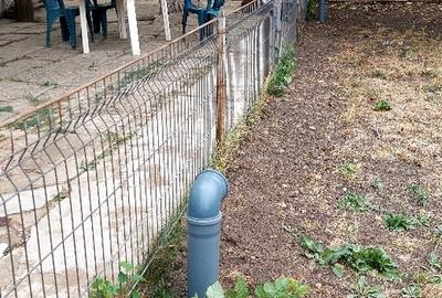 Dalga Sat, Com. Dor Marunt, jud. Calarasi Dalga Sat, Com. Dor Marunt, jud. Calarasi - 8