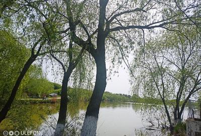Casă cu Teren 830 Mp în Chiriacu - 1